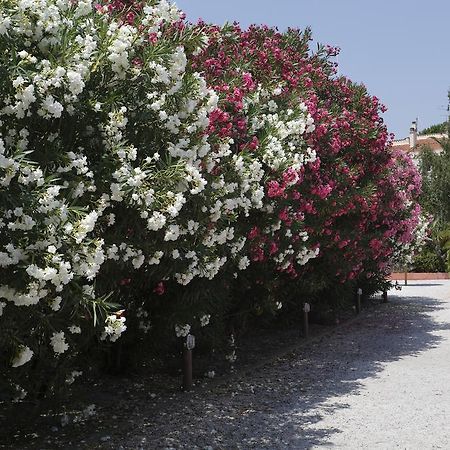 Vacanceole - Residence Las Motas Alenya Luaran gambar